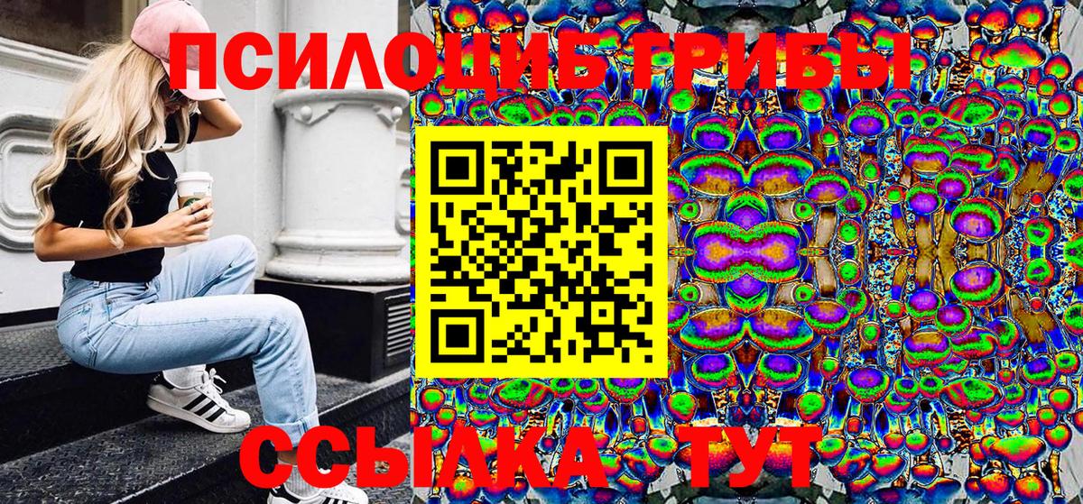 купить наркотик  Вход с VPN  Дальнереченск  Галлюциногенные грибы Psilocybine cubensis 