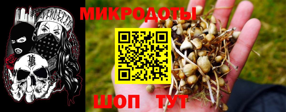 Псилоцибиновые грибы Cubensis Дальнереченск